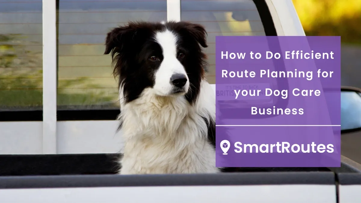 How to Do Efficient Route Planning for your Dog Care Business