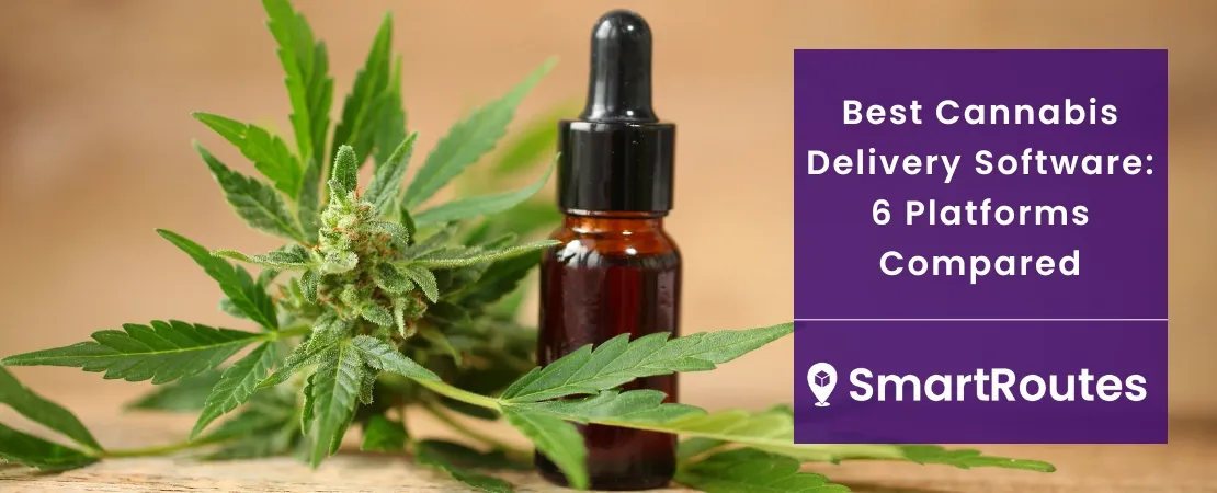Best Cannabis Delivery Software: 6 Platforms Compared