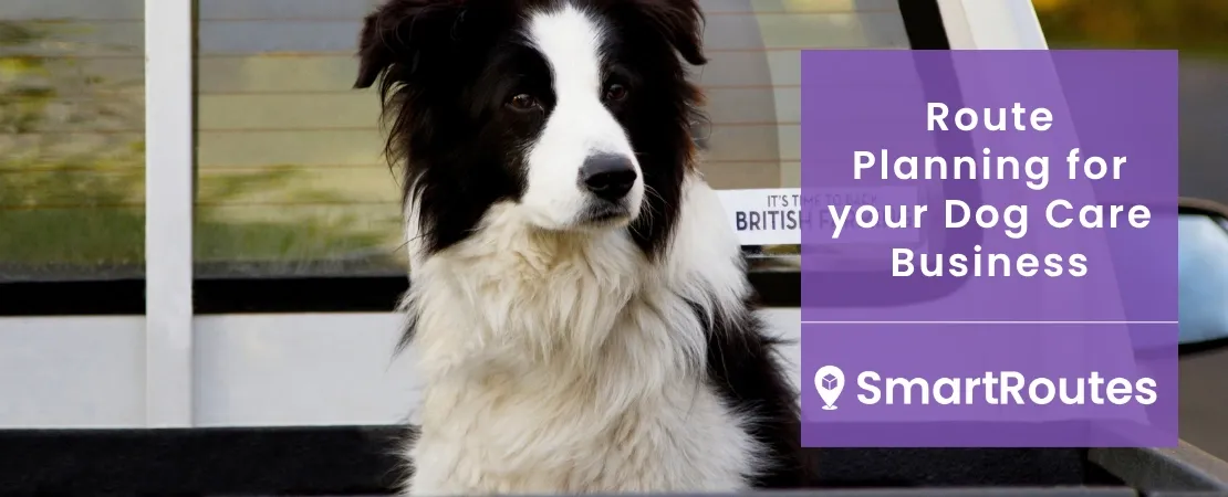 How to Do Efficient Route Planning for your Dog Care Business